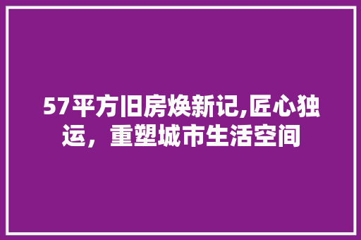 57平方旧房焕新记,匠心独运，重塑城市生活空间 MI家设计指南