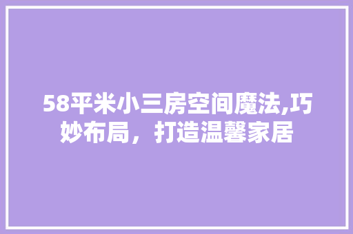 58平米小三房空间魔法,巧妙布局，打造温馨家居