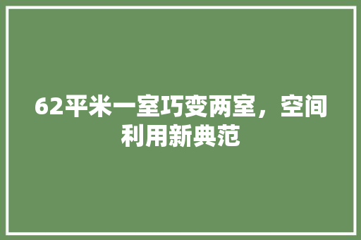 62平米一室巧变两室，空间利用新典范