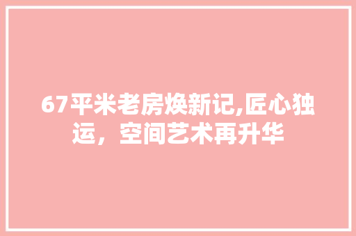 67平米老房焕新记,匠心独运，空间艺术再升华 MI家装修经验