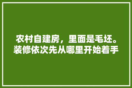 农村自建房，里面是毛坯。装修依次先从哪里开始着手装修起最好「小房屋装修设计技巧有哪些」 农村自建房，里面是毛坯。装修依次先从哪里开始着手装修起最好「小房屋装修设计技巧有哪些」 MI家设计百科