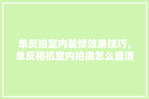 单反拍室内装修效果技巧，单反相机室内拍摄怎么最清晰。 单反拍室内装修效果技巧，单反相机室内拍摄怎么最清晰。 MI家装修攻略