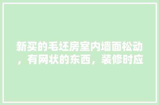 新买的毛坯房室内墙面松动，有网状的东西，装修时应该怎么处理「房屋装修搞墙技巧视频教程」 新买的毛坯房室内墙面松动，有网状的东西，装修时应该怎么处理「房屋装修搞墙技巧视频教程」 MI家设计指南