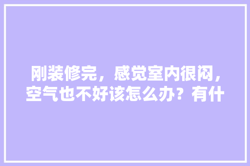 刚装修完，感觉室内很闷，空气也不好该怎么办？有什么换气补氧的方法「房屋内部装修技巧大全集图片」