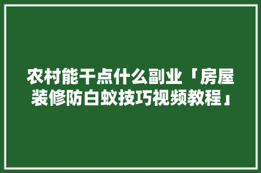农村能干点什么副业「房屋装修防白蚁技巧视频教程」 农村能干点什么副业「房屋装修防白蚁技巧视频教程」 MI家装修经验