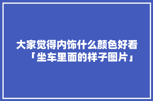 大家觉得内饰什么颜色好看「坐车里面的样子图片」 大家觉得内饰什么颜色好看「坐车里面的样子图片」 MI家装修攻略