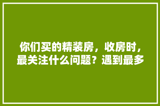 你们买的精装房，收房时，最关注什么问题？遇到最多的问题又是什么呢「精装修房屋看房技巧视频」 你们买的精装房，收房时，最关注什么问题？遇到最多的问题又是什么呢「精装修房屋看房技巧视频」 MI家装修攻略