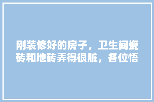 刚装修好的房子，卫生间瓷砖和地砖弄得很脏，各位悟空大神有什么清洗的好方法吗「房屋装修技巧和方法视频」 刚装修好的房子，卫生间瓷砖和地砖弄得很脏，各位悟空大神有什么清洗的好方法吗「房屋装修技巧和方法视频」 MI家装修攻略