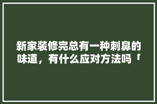 新家装修完总有一种刺鼻的味道，有什么应对方法吗「房屋装修环保技巧与方法视频」 新家装修完总有一种刺鼻的味道，有什么应对方法吗「房屋装修环保技巧与方法视频」 MI家装修攻略