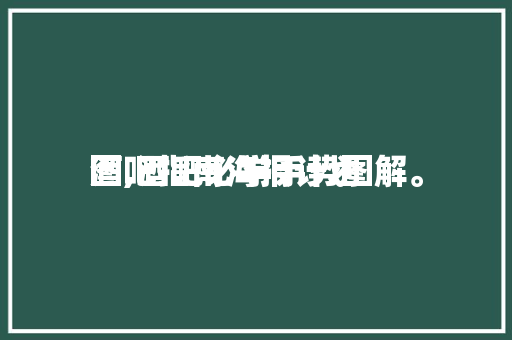 酒吧指南海报计划图,酒吧必学手势图解。(酒吧海报手画)