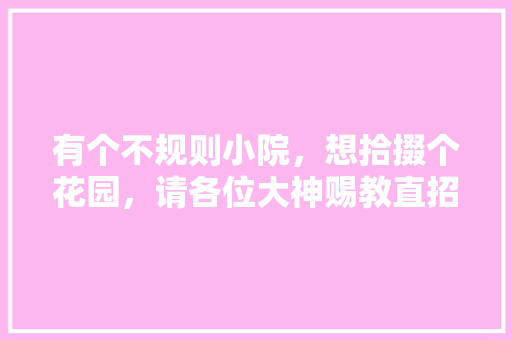 有个不规则小院，想拾掇个花园，请各位大神赐教直招！🙏🙏「不规则房屋装修技巧有哪些」 有个不规则小院，想拾掇个花园，请各位大神赐教直招！🙏🙏「不规则房屋装修技巧有哪些」 MI家公司推荐