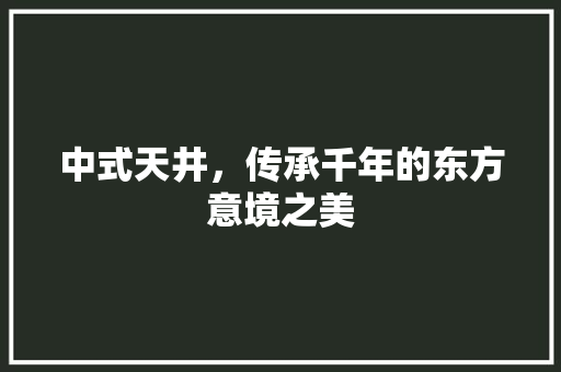 中式天井，传承千年的东方意境之美(中式天井,传承千年的东方意境之美是什么)