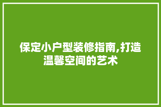 保定小户型装修指南,打造温馨空间的艺术 保定小户型装修指南,打造温馨空间的艺术 MI家装修经验
