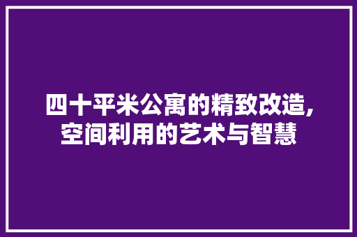 四十平米公寓的精致改造,空间利用的艺术与智慧 MI家公司推荐 四十平米公寓的精致改造,空间利用的艺术与智慧 四十平米公寓的精致改造,空间利用的艺术与智慧 MI家公司推荐