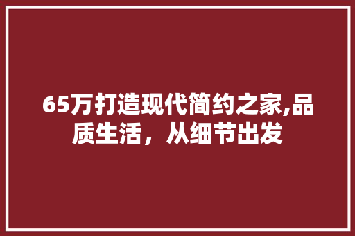 65万打造现代简约之家,品质生活，从细节出发 65万打造现代简约之家,品质生活，从细节出发 MI家装修攻略