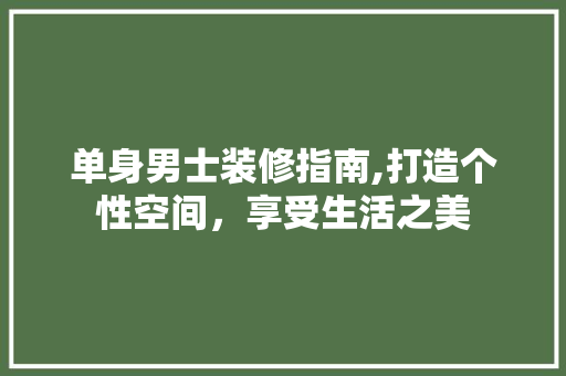 单身男士装修指南,打造个性空间，享受生活之美 单身男士装修指南,打造个性空间，享受生活之美 MI家设计百科