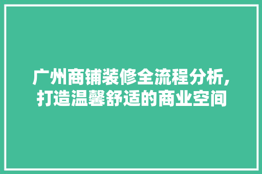 广州商铺装修全流程分析,打造温馨舒适的商业空间(广州商场店铺装修)
