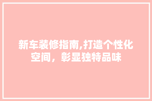新车装修指南,打造个性化空间，彰显独特品味 新车装修指南,打造个性化空间，彰显独特品味 MI家装修经验