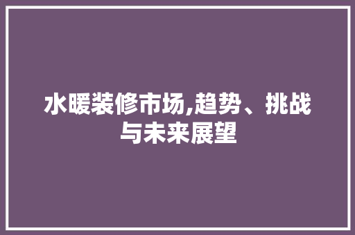 水暖装修市场,趋势、挑战与未来展望 水暖装修市场,趋势、挑战与未来展望 MI家设计指南