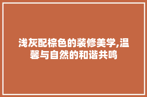 浅灰配棕色的装修美学,温馨与自然的和谐共鸣