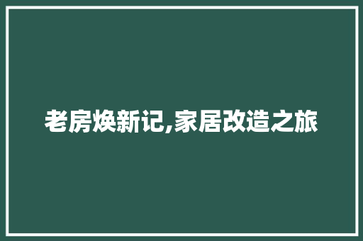 老房焕新记,家居改造之旅 老房焕新记,家居改造之旅 MI家装修经验