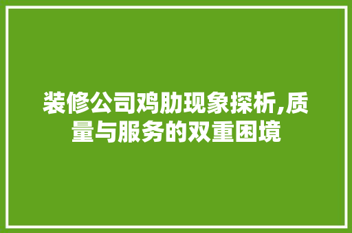 装修公司鸡肋现象探析,质量与服务的双重困境 装修公司鸡肋现象探析,质量与服务的双重困境 MI家装修攻略