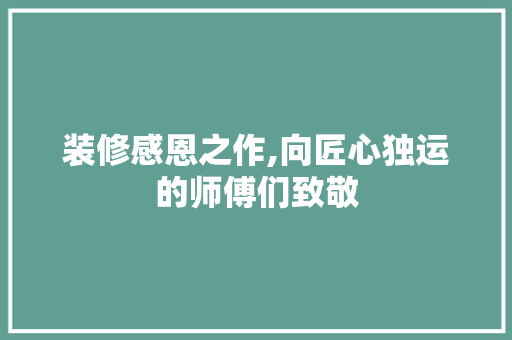 装修感恩之作,向匠心独运的师傅们致敬 装修感恩之作,向匠心独运的师傅们致敬 MI家公司推荐