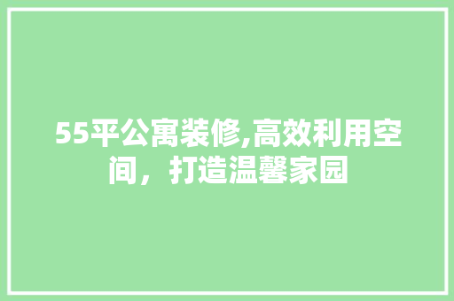 55平公寓装修,高效利用空间，打造温馨家园 55平公寓装修,高效利用空间，打造温馨家园 MI家装修经验