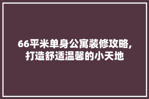66平米单身公寓装修攻略,打造舒适温馨的小天地(60平米单身公寓装修)