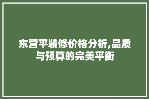 东营平装修价格分析,品质与预算的完美平衡 东营平装修价格分析,品质与预算的完美平衡 MI家装修攻略