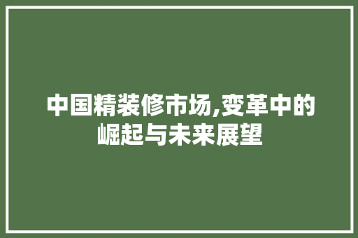 中国精装修市场,变革中的崛起与未来展望 中国精装修市场,变革中的崛起与未来展望 MI家设计指南