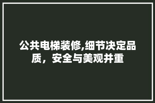 公共电梯装修,细节决定品质，安全与美观并重(公共电梯装修,细节决定品质,安全与美观并重)