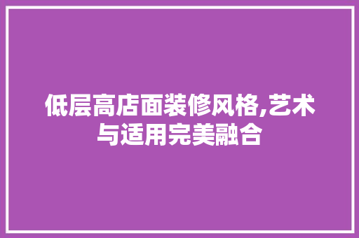 低层高店面装修风格,艺术与适用完美融合(店面层高太低怎么装修)