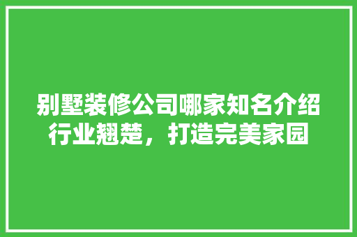别墅装修公司哪家知名介绍行业翘楚，打造完美家园 别墅装修公司哪家知名介绍行业翘楚，打造完美家园 MI家装修攻略