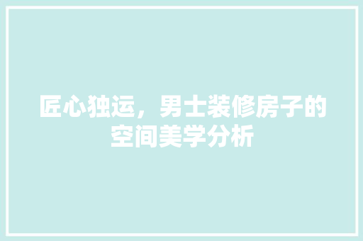 匠心独运，男士装修房子的空间美学分析(男性装修风格)