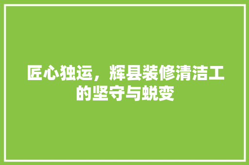 匠心独运，辉县装修清洁工的坚守与蜕变 匠心独运，辉县装修清洁工的坚守与蜕变 MI家装修攻略