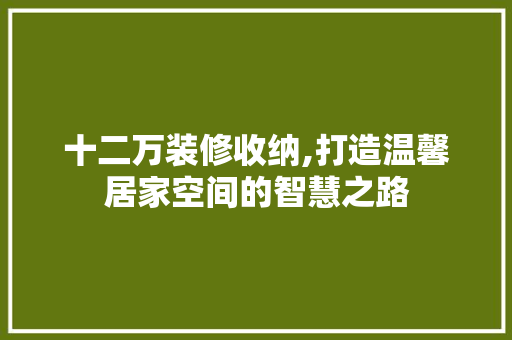十二万装修收纳,打造温馨居家空间的智慧之路 十二万装修收纳,打造温馨居家空间的智慧之路 MI家公司推荐