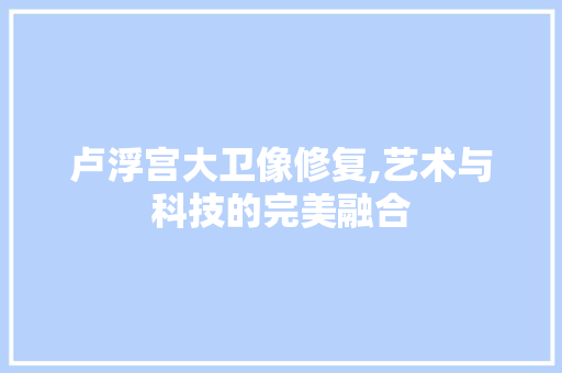 卢浮宫大卫像修复,艺术与科技的完美融合 卢浮宫大卫像修复,艺术与科技的完美融合 MI家设计指南
