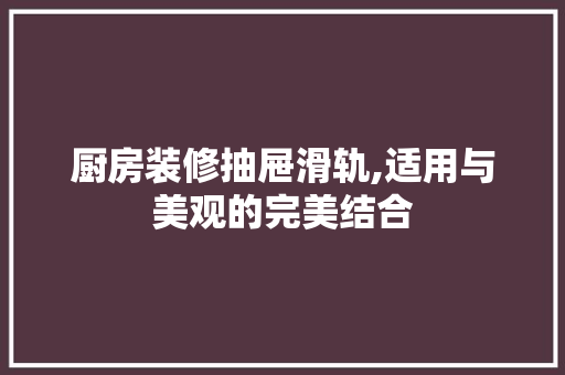 厨房装修抽屉滑轨,适用与美观的完美结合 厨房装修抽屉滑轨,适用与美观的完美结合 MI家公司推荐