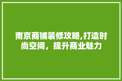 南京商铺装修攻略,打造时尚空间，提升商业魅力 南京商铺装修攻略,打造时尚空间，提升商业魅力 MI家装修攻略