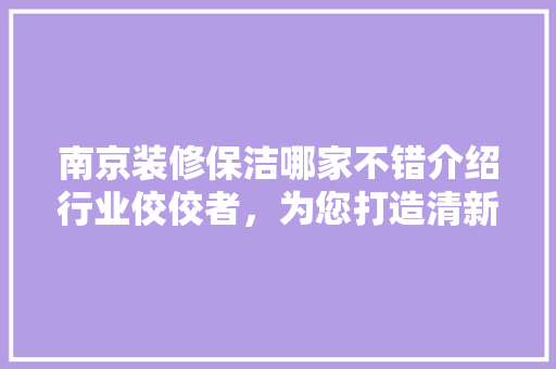 南京装修保洁哪家不错介绍行业佼佼者，为您打造清新家居环境 南京装修保洁哪家不错介绍行业佼佼者，为您打造清新家居环境 MI家装修经验