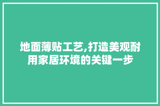 地面薄贴工艺,打造美观耐用家居环境的关键一步 地面薄贴工艺,打造美观耐用家居环境的关键一步 MI家设计指南