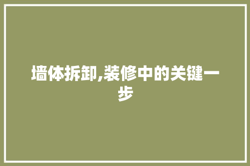 墙体拆卸,装修中的关键一步 墙体拆卸,装修中的关键一步 MI家装修经验