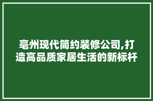 亳州现代简约装修公司,打造高品质家居生活的新标杆 亳州现代简约装修公司,打造高品质家居生活的新标杆 MI家公司推荐