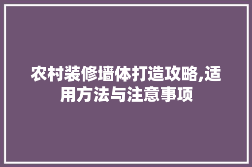 农村装修墙体打造攻略,适用方法与注意事项(农村墙壁装修)