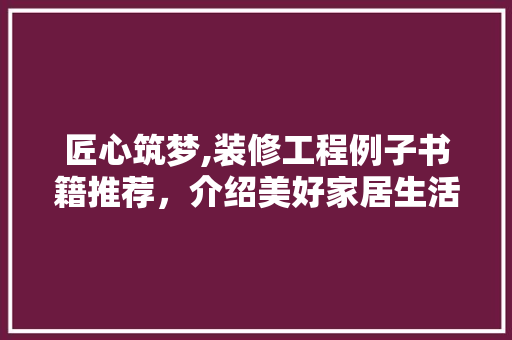 匠心筑梦,装修工程例子书籍推荐，介绍美好家居生活新篇章 匠心筑梦,装修工程例子书籍推荐，介绍美好家居生活新篇章 MI家设计指南