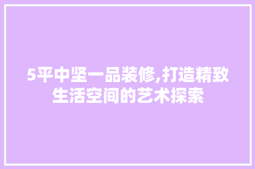 5平中坚一品装修,打造精致生活空间的艺术探索