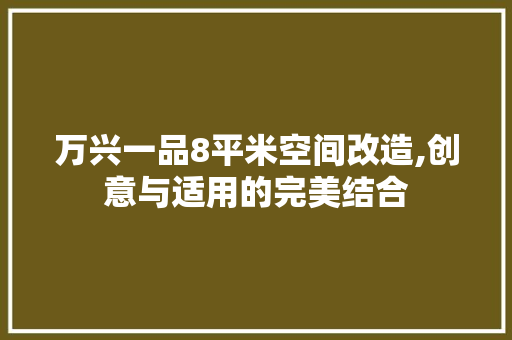 万兴一品8平米空间改造,创意与适用的完美结合