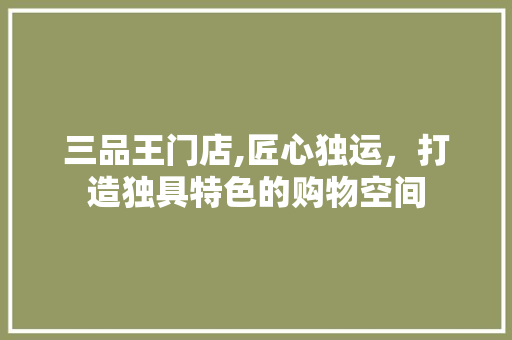 三品王门店,匠心独运，打造独具特色的购物空间