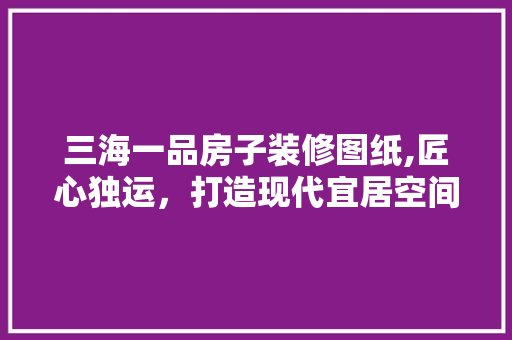 三海一品房子装修图纸,匠心独运，打造现代宜居空间